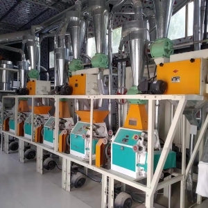 6臺(tái)磨平篩出粉設(shè)備