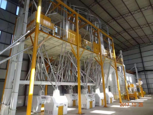 日產80噸面粉機