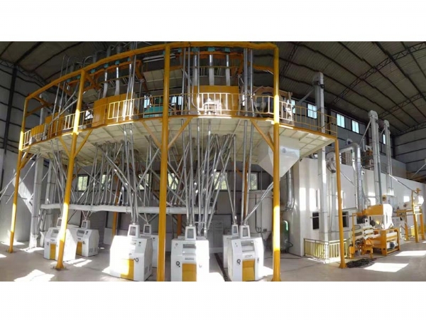 日產80噸面粉機