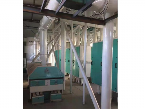 日產量100噸面粉機