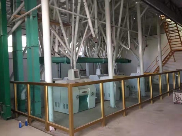 日產量100噸面粉機