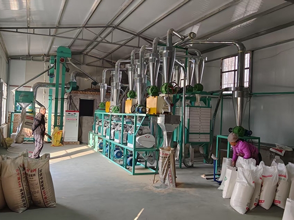 如何選擇合適的50噸面粉加工設(shè)備？鑫峰面粉機(jī)械小編告訴您